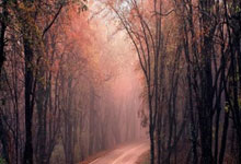 【DJ音乐】无心睡眠鼓TOP全中文Prog House车载大碟 开车提神